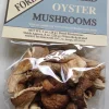 blue oyster mushroom