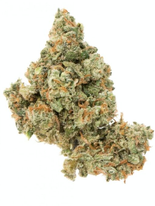 Buy Jack Herer Strain in Canada