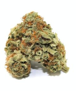 Buy Grape Ape strain Online in Canada