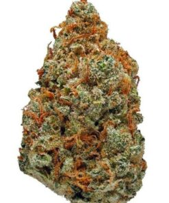 Buy LSD Kush Online in USA