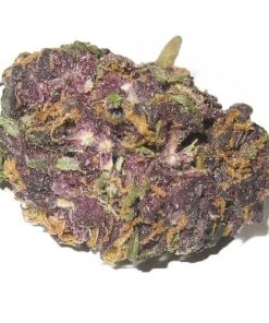 Buy Grand Daddy Purple Strain in USA