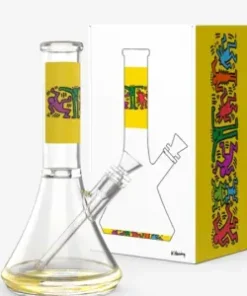HIGHER STANDARDS – K. HARING WATER PIPE
